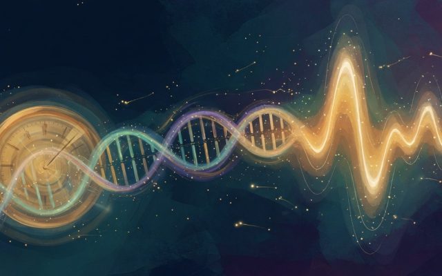 An illustrated clock face merging with a DNA strand and a glowing pulse waveform.
