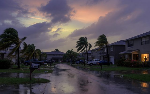 A Florida suburban neighborhood at dusk during a power outage after a storm, dark houses and wind-blown palms