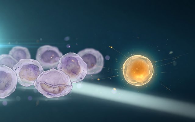 Illustration of aging senescent cells beside a single glowing healthy cell