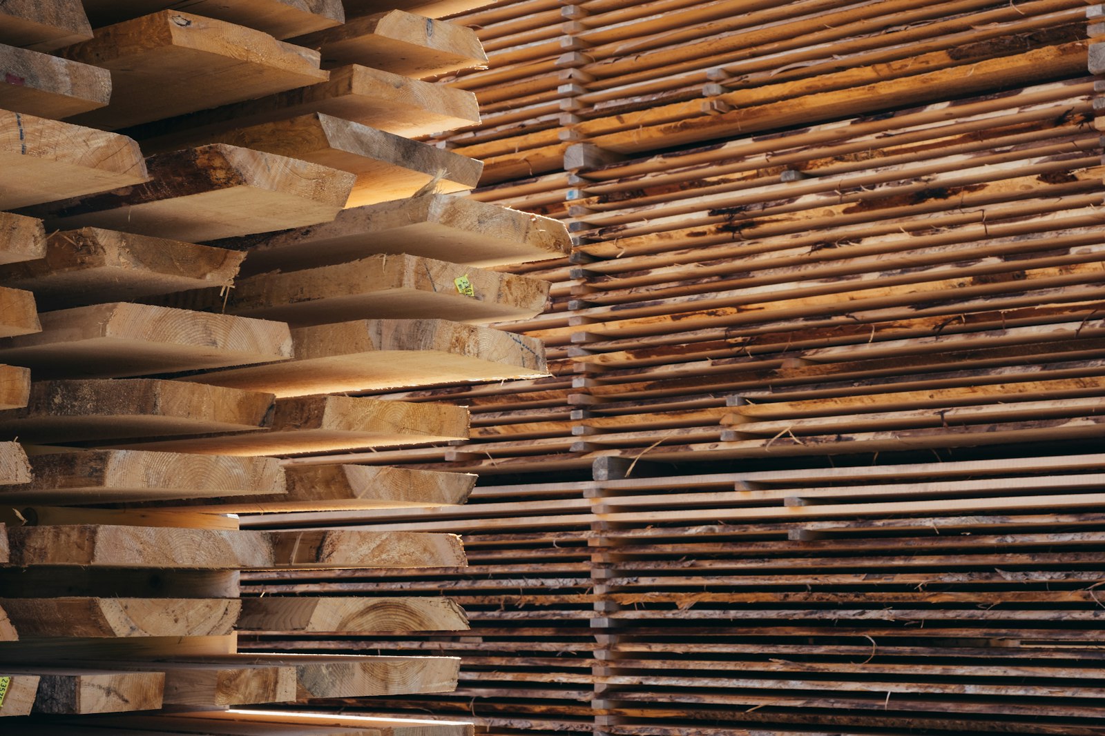 Stacks of freshly sawn lumber in a timber yard.