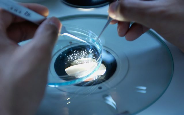 A gloved hand uses tweezers to handle a small sample beside a petri dish in a laboratory.