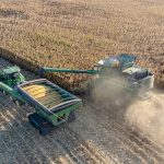 A combine unloads harvested corn into a grain cart in a field during harvest.