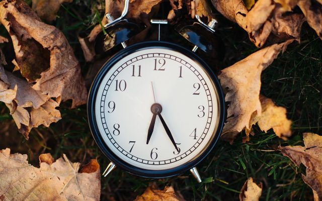 A black alarm clock rests in grass among fallen autumn leaves.