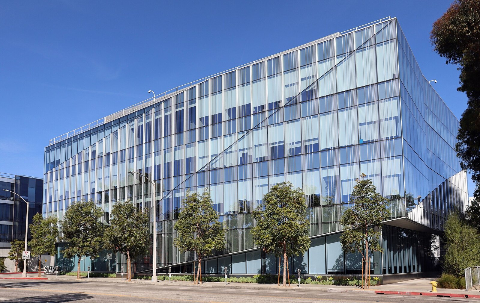 A glass office building on Stewart Street in Santa Monica with trees along the sidewalk